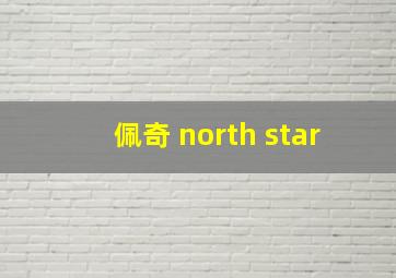 佩奇 north star